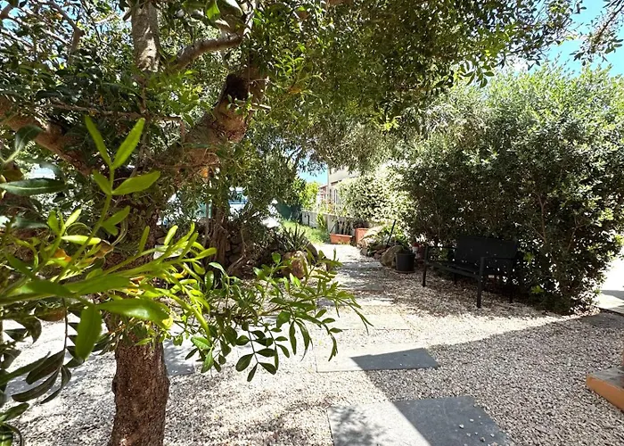 Aquamare 4* Сан-Теодоро